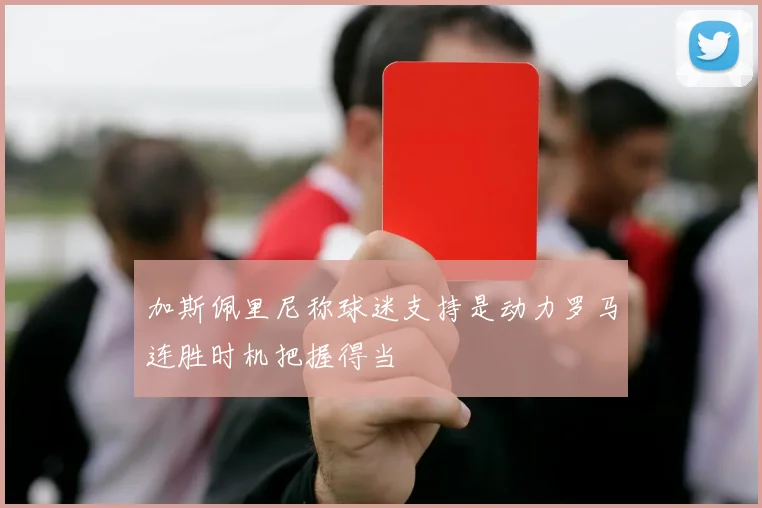 加斯佩里尼称球迷支持是动力罗马连胜时机把握得当