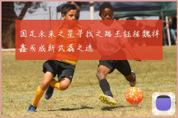 国足未来之星寻找之路王钰栋魏祥鑫或成新武磊之选